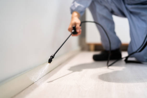 Licensed Mosquito Control service in Irvine, CA - Nex Pest Control