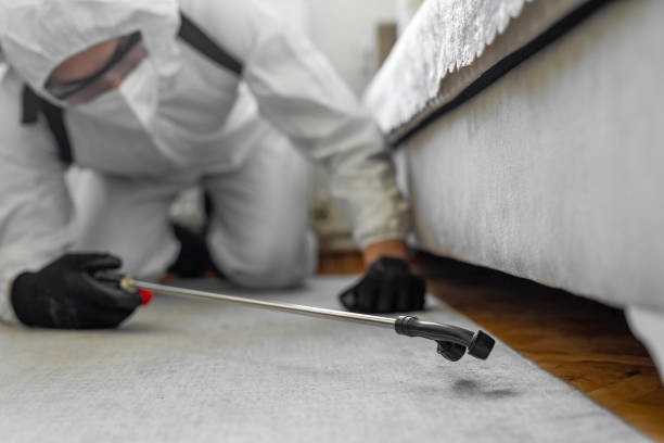Professional Mosquito Control technician working in Irvine, CA