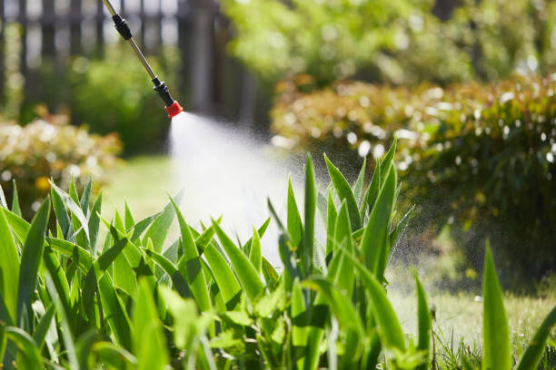 24/7 Emergency Mosquito Control experts in Irvine, CA