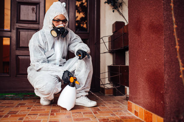Reliable Mosquito Control contractor in Irvine, CA by Nex Pest Control