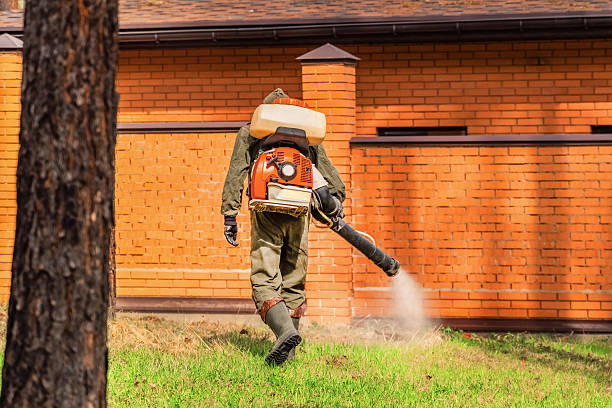 Top rated local Mosquito Control specialists in Irvine, CA